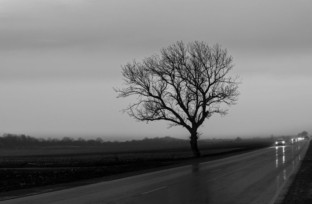 Photograph by Одинцов Валерий