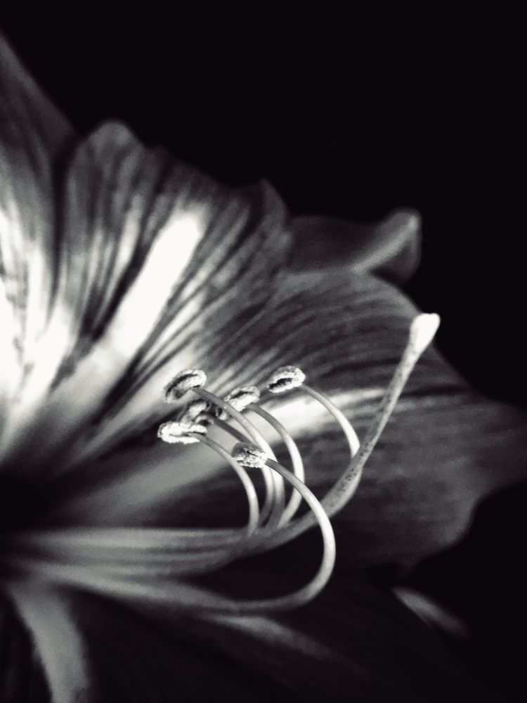 Photograph by Ирина Дроздова