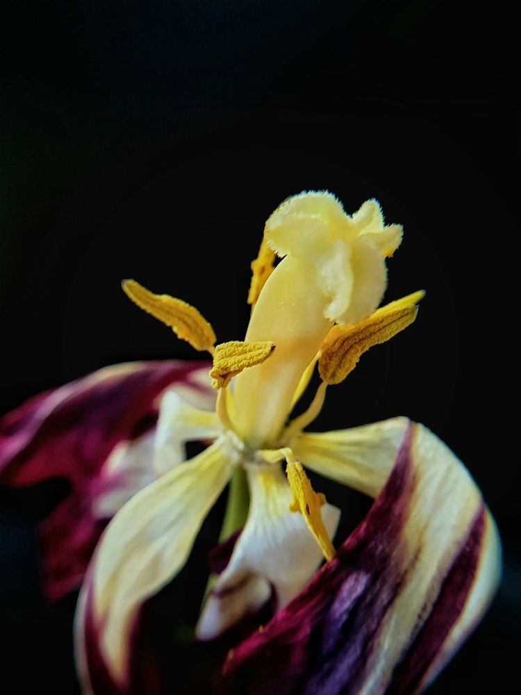 Photograph by Ирина Дроздова