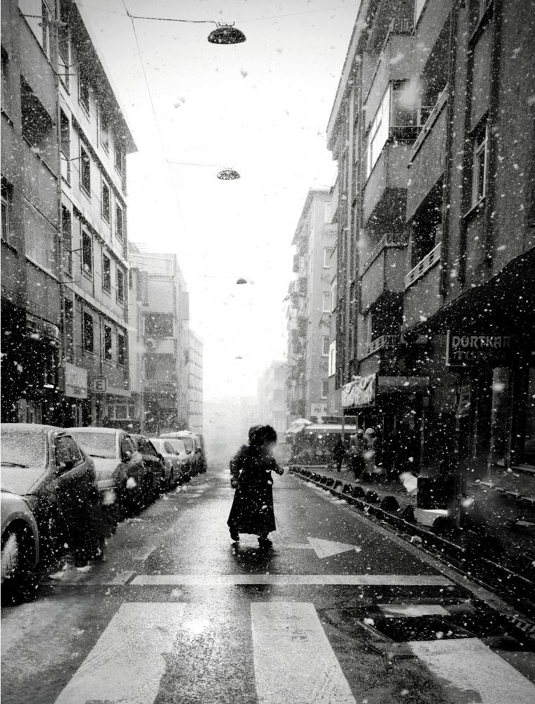 Snowy Day