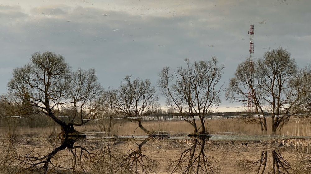 Photograph by Светлана Родионова