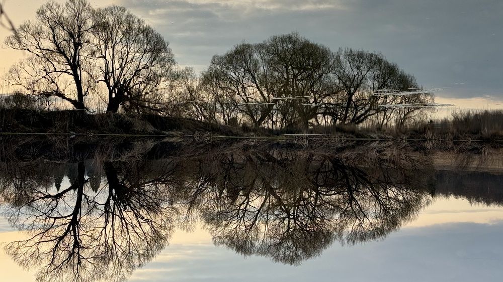 Photograph by Светлана Родионова