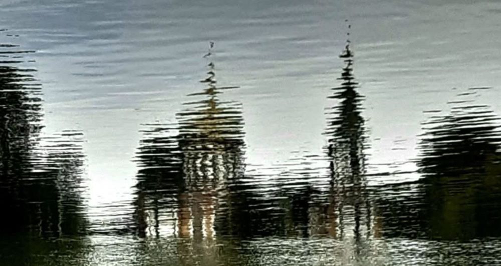 Фотография автора Maks Lanister