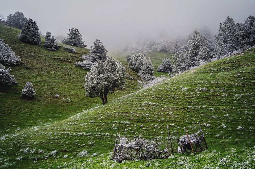 Фотография автора Юлия Есина