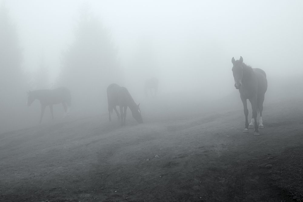 Photograph by Алексей Баженов