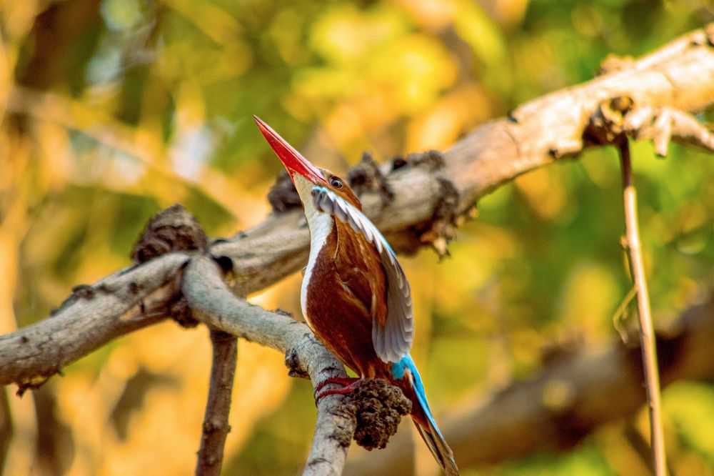 Photograph by Devjit Sarkar