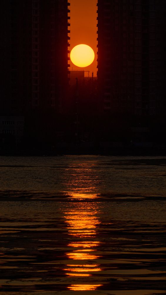 Photograph by Дмитрий Емельянов