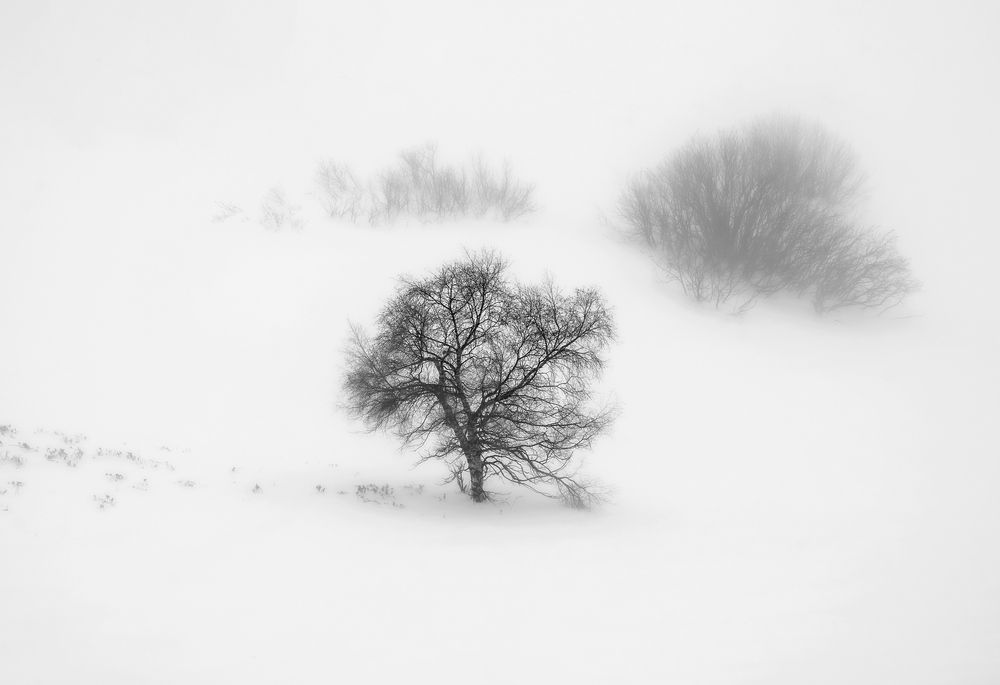 Photograph by Валерий Одинцов