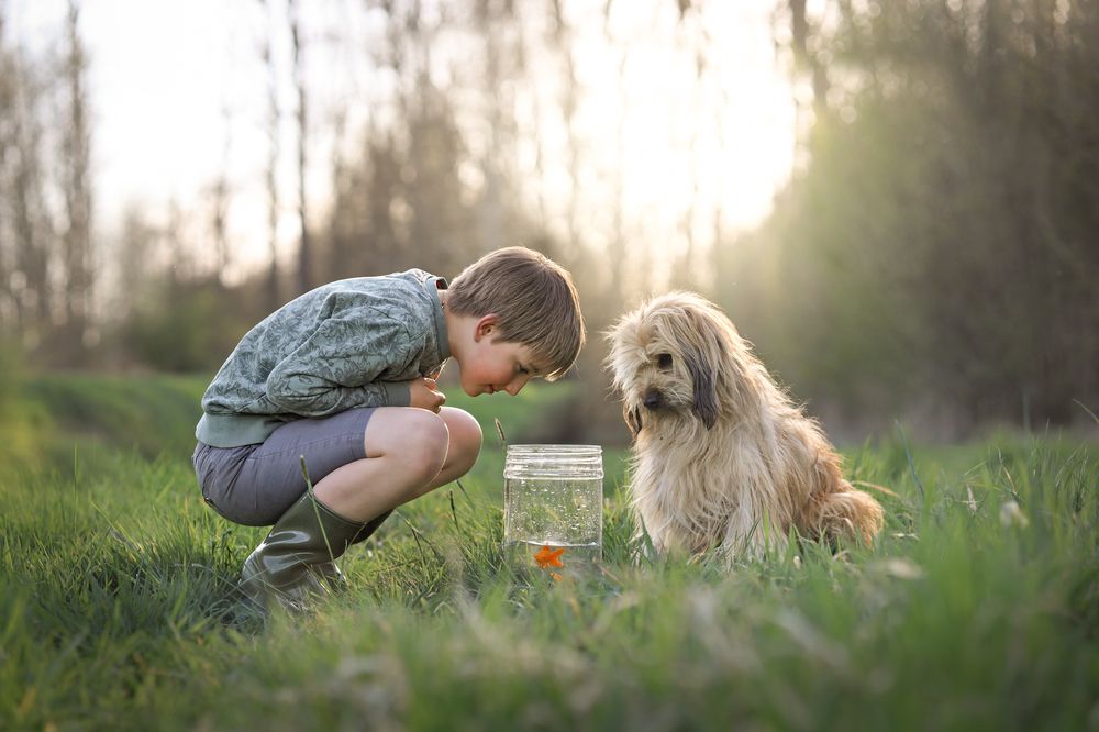 Photograph by Elisa Lemmens