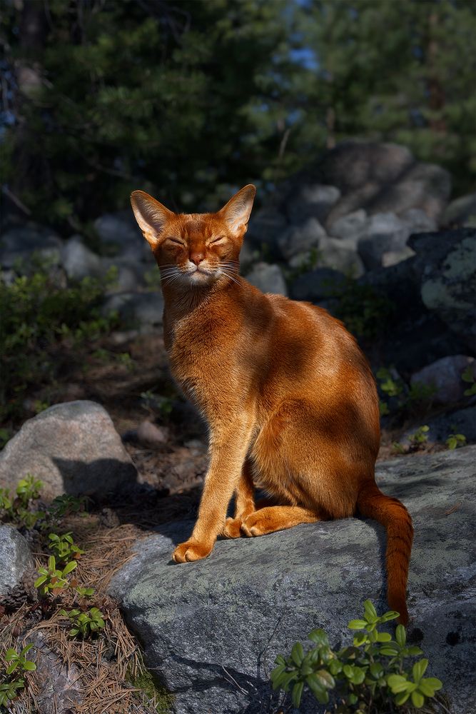 Photograph by Михайлова Елена