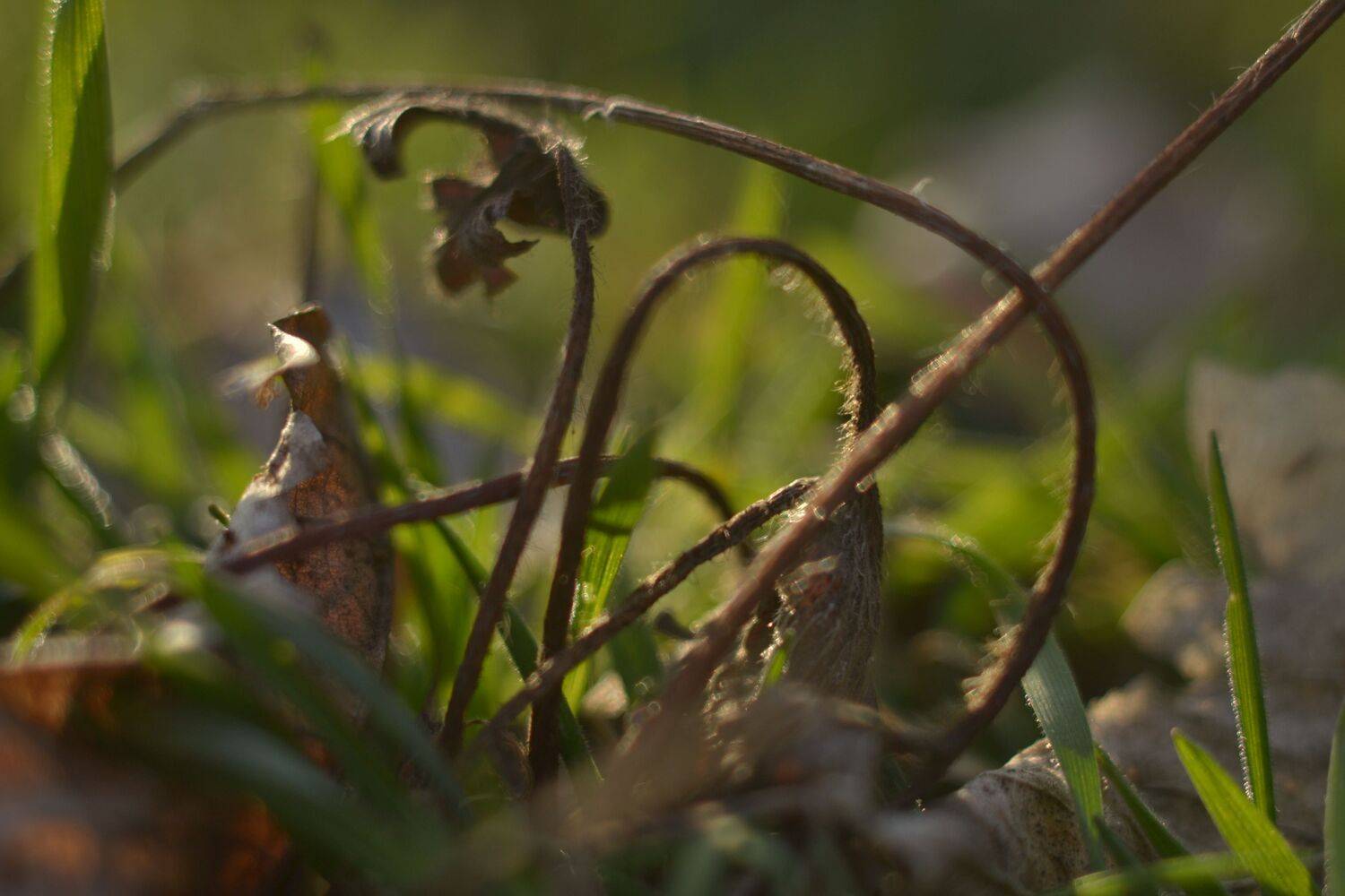 Photo #12115086