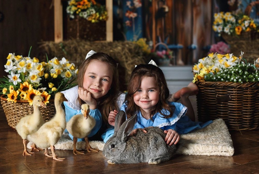 Фотография автора Наталия Евграфова