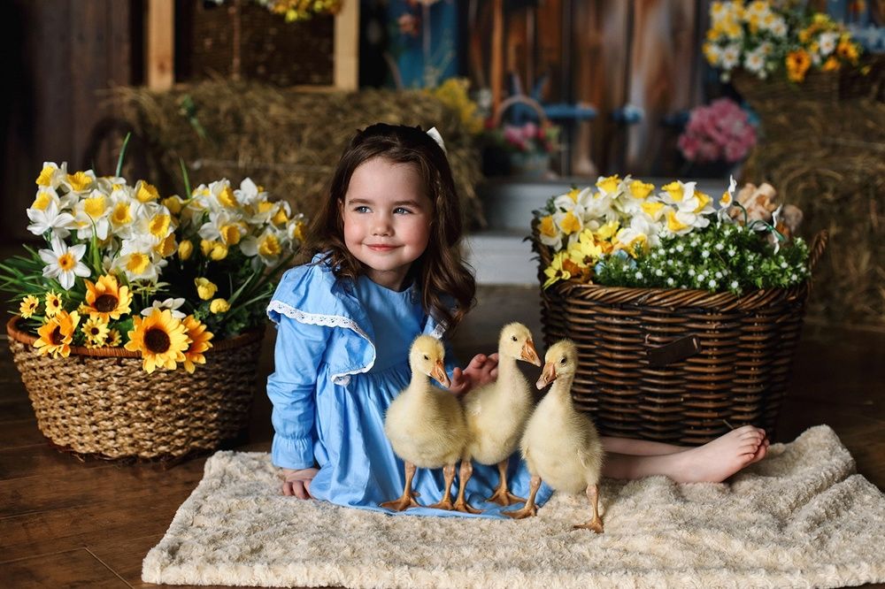 Фотография автора Наталия Евграфова