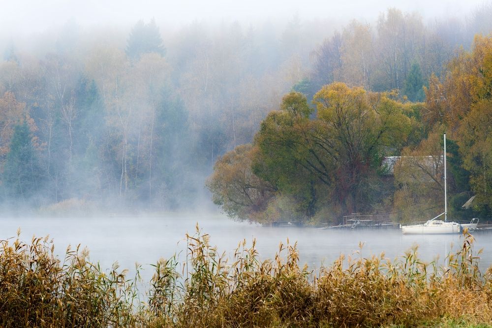 Photograph by Михаил Косолапов