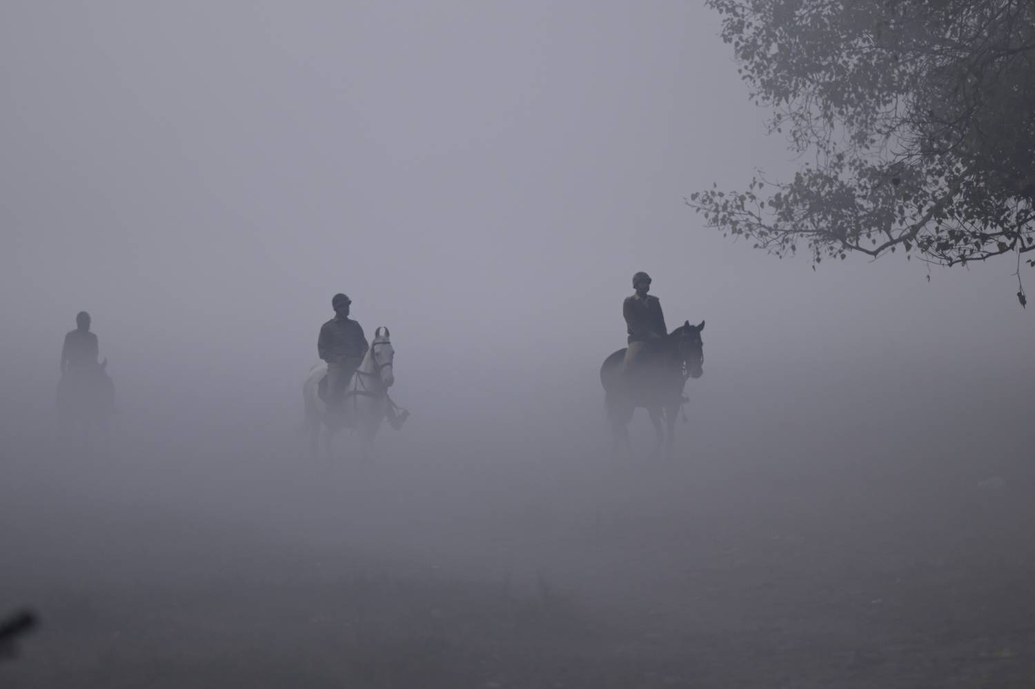 Photo #12115238