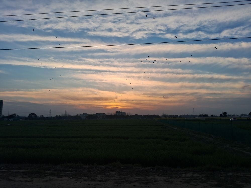 Photo #12115270