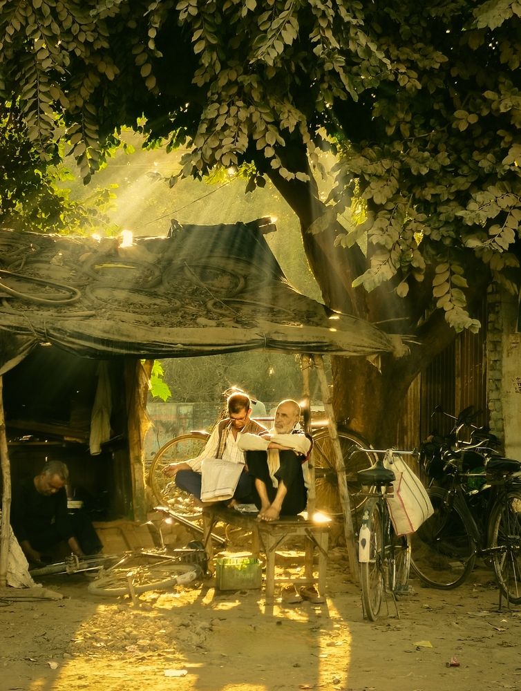 Фотография автора Shivansh Mishra