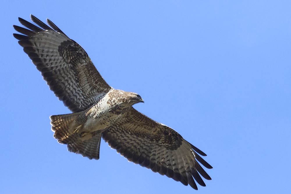 Photograph by Puum Mati