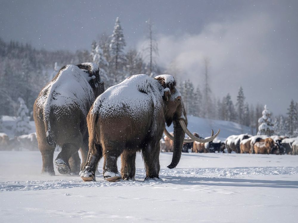 Фотография автора Роман Приходько