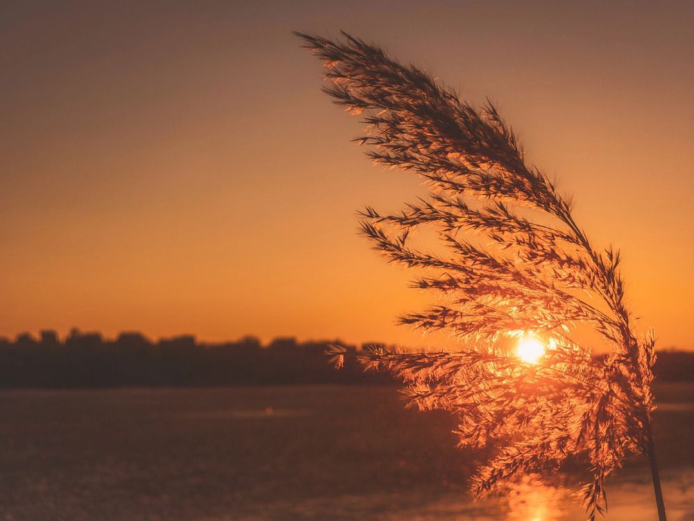 Photograph by Кирилл Сидоров