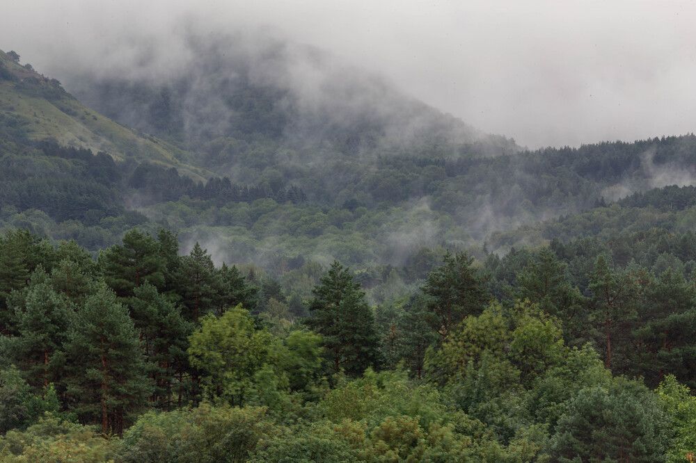 Photograph by Виталий Са