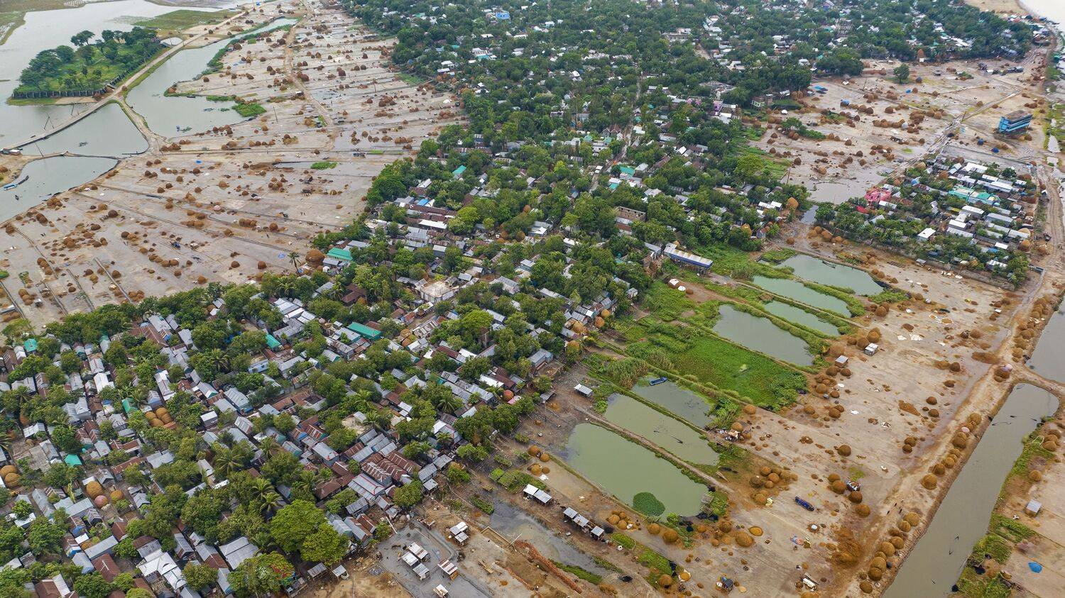 Фотография #12115863