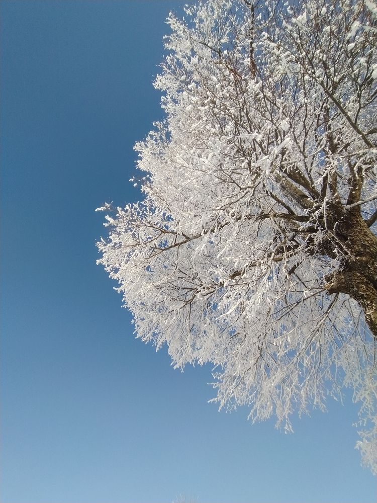 Photograph by Юрий Гордеев