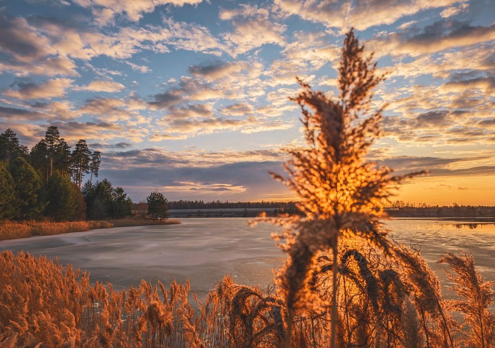Photograph by Кирилл Сидоров