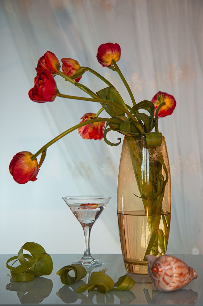 Фотография автора Елена Разина