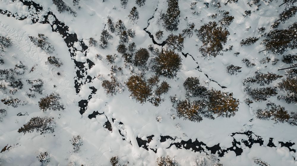 Фотография автора Дмитрий Рындин