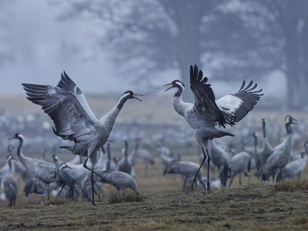 Photograph by Jørgen Hovde