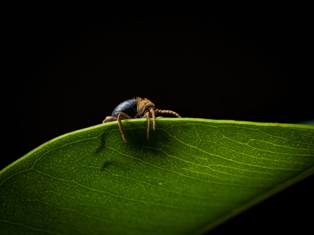 Photograph by Игорь Толкачев