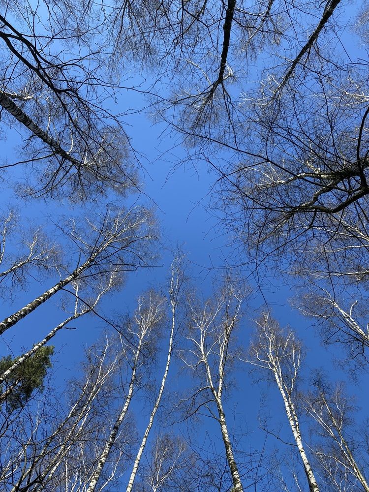 Хоровод подружек