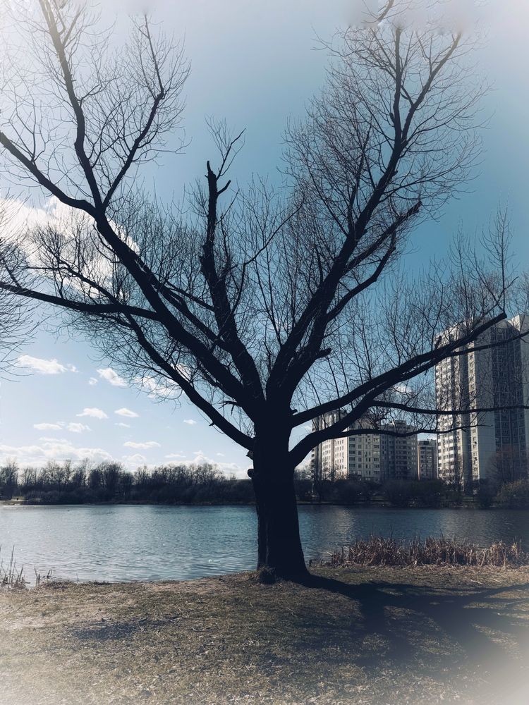 Photograph by Татьяна Буянова