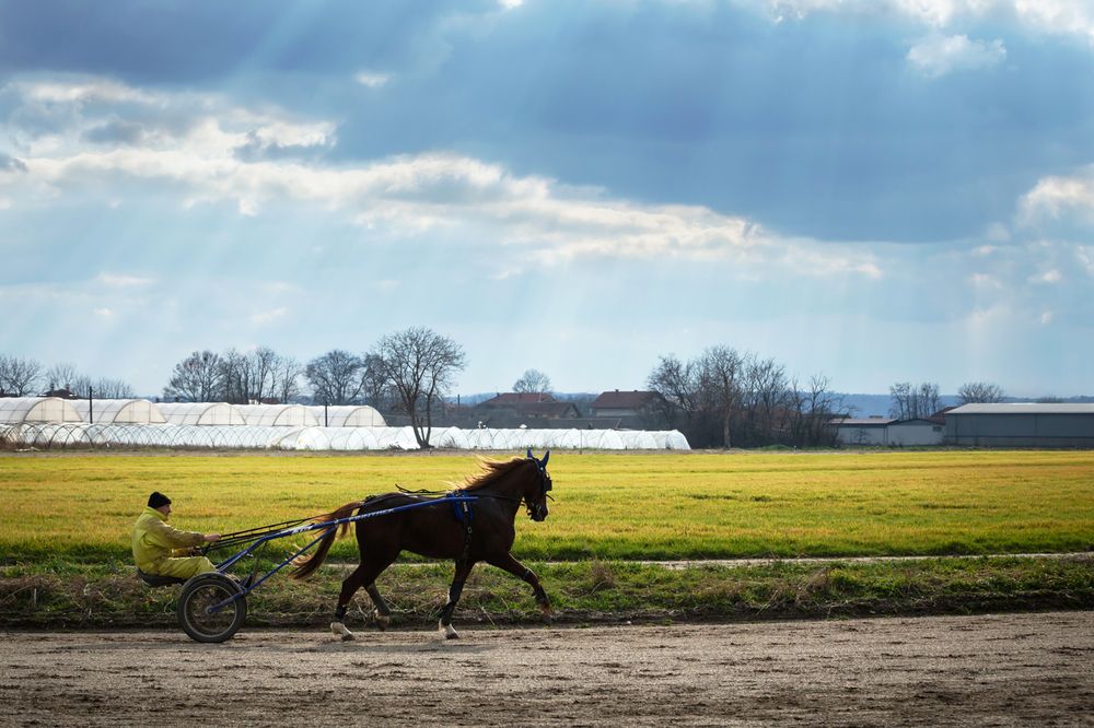 Photograph by Тамара Морозова