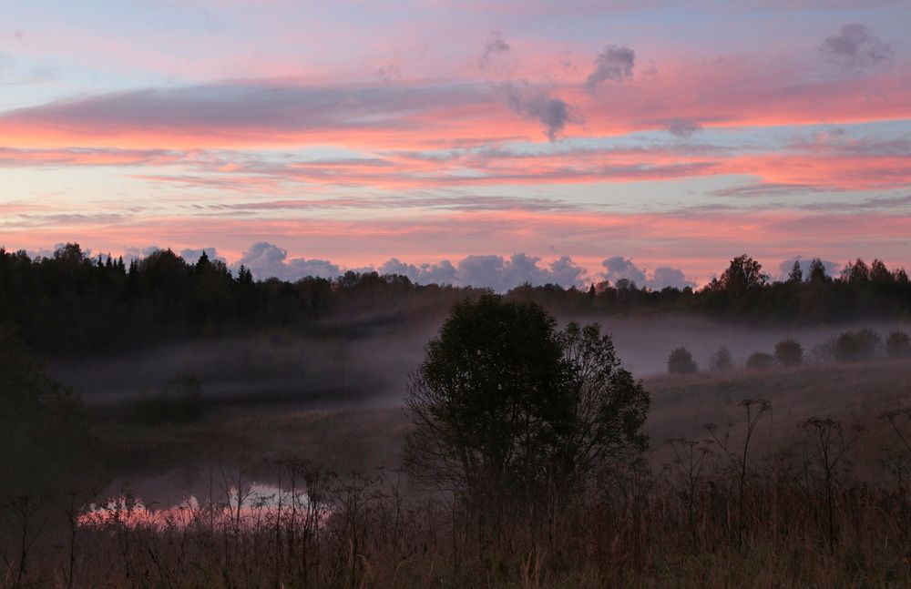 Фотография автора Александр Кожевников