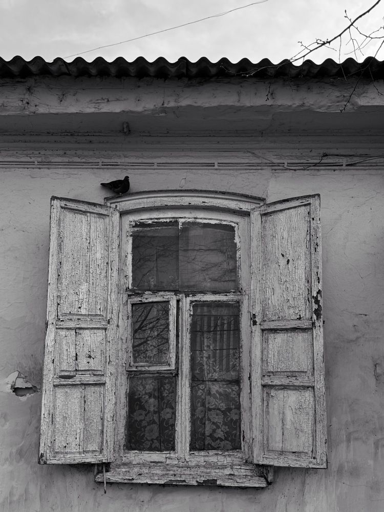 Photograph by Yanina Zvezdina