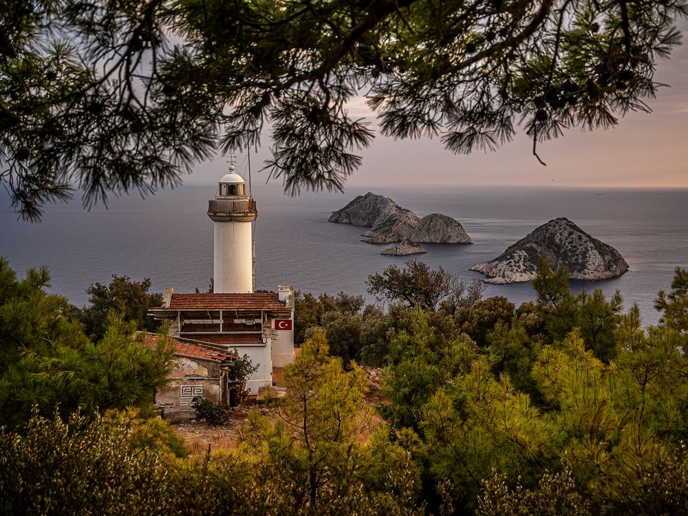 Фотография автора Юлия Есина