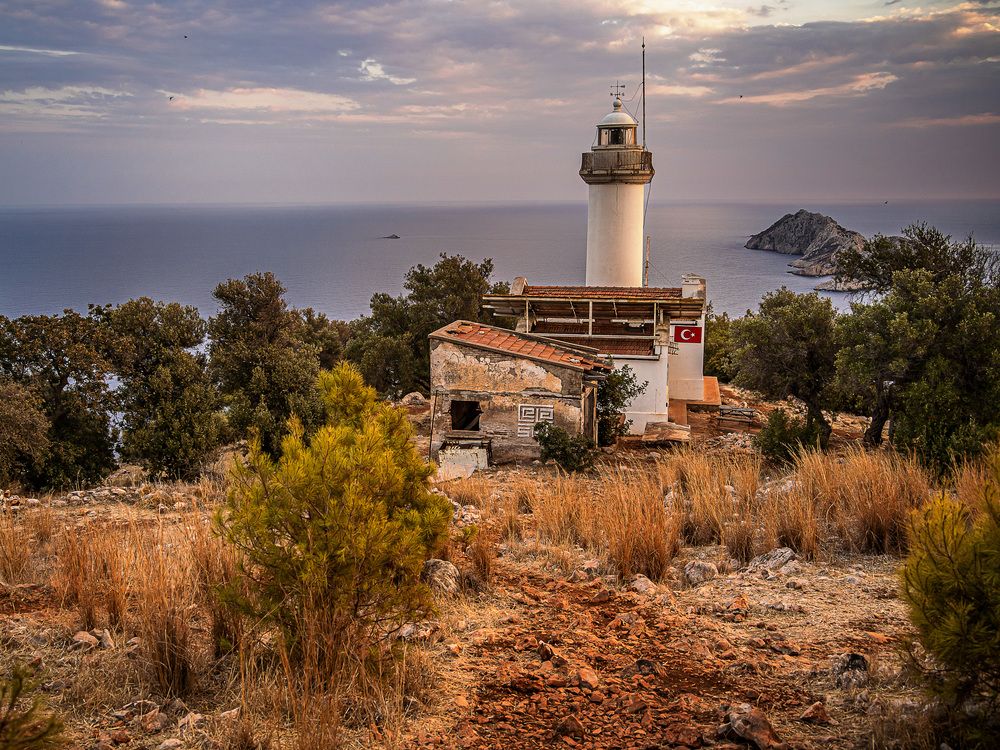 Фотография автора Юлия Есина