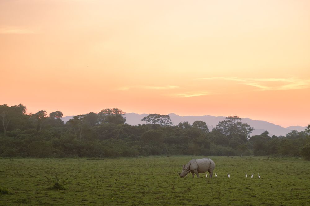 Photograph by Narayanan Iyer