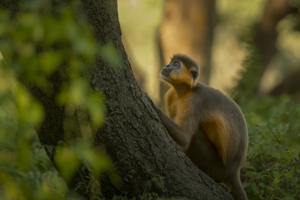 Photograph by Narayanan Iyer