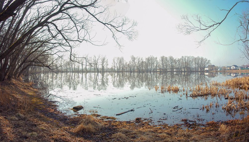 Photograph by Сушкевич Светлана