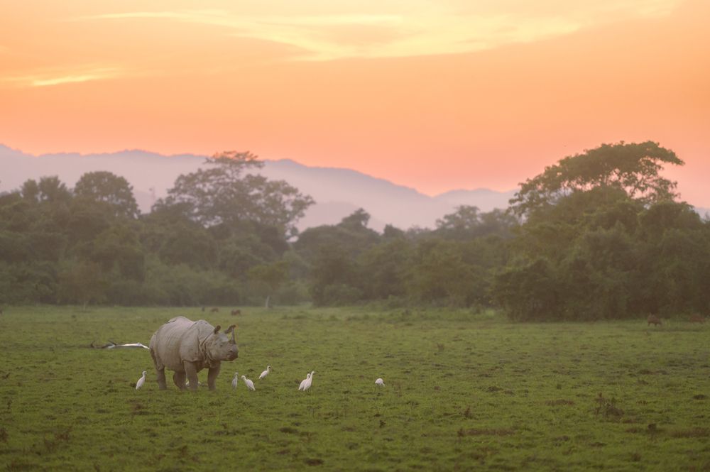 Photograph by Narayanan Iyer