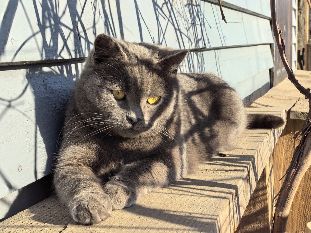 Photograph by Екатерина Борисовна Кузьмина