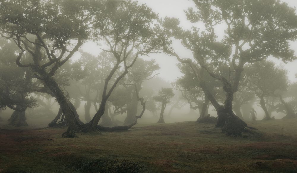 Photograph by Roman Bevzenko