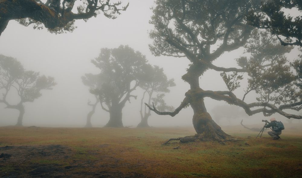 Photograph by Roman Bevzenko