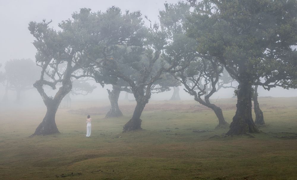 Photograph by Roman Bevzenko