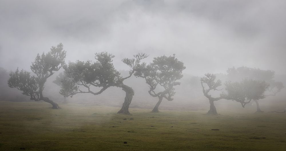 Photograph by Roman Bevzenko