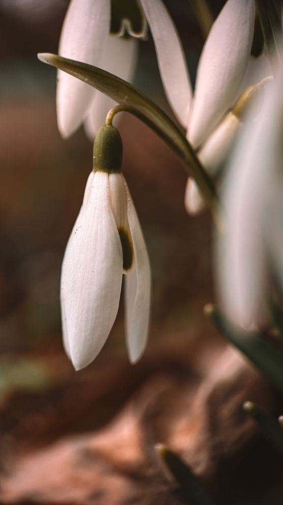 Photograph by Наталья Алфёрова