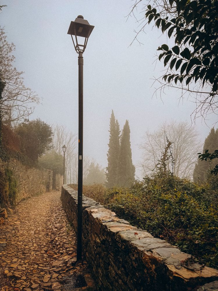 Photograph by Наталья Алфёрова